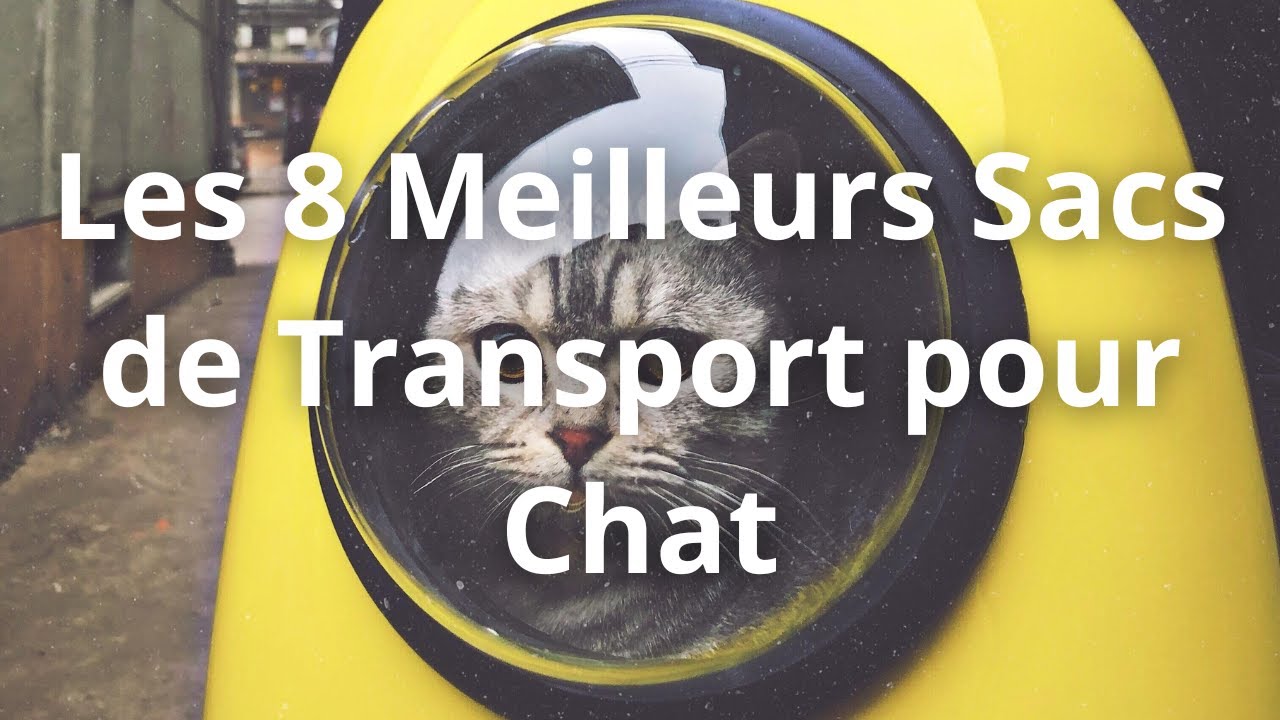 Les 8 Meilleurs Sacs de Transport pour Chat en 2023